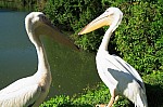 2008_travel1_T055.jpg