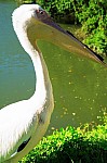 2008_travel1_T057.jpg