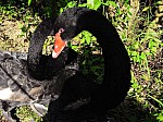 2008_travel1_T058.jpg