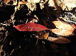 2008_travel1_T065.jpg