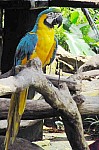 2008_travel1_T066.jpg
