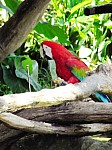 2008_travel1_T067.jpg