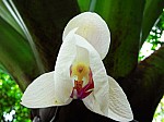 2008_travel1_T073.jpg