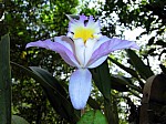 2008_travel1_T074.jpg