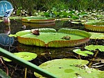 2008_travel1_T079.jpg