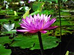 2008_travel1_T083.jpg