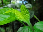 2008_travel1_T108.jpg