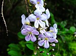 2008_travel1_T111.jpg