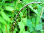 2008_travel1_T128.jpg