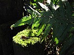 2008_travel1_T129.jpg