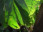 2008_travel1_T130.jpg