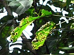 2008_travel1_T131.jpg