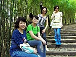 2008_travel1_T133.jpg