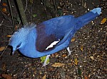 2008_travel1_T140.jpg
