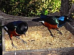 2008_travel1_T141.jpg