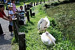 2008_travel1_T154.JPG