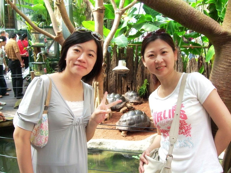 DSCF0082.JPG