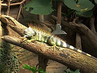 DSCF0078.JPG