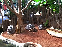 DSCF0080.JPG
