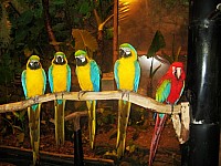 IMG_0453.jpg