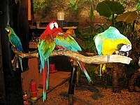 IMG_0455.jpg