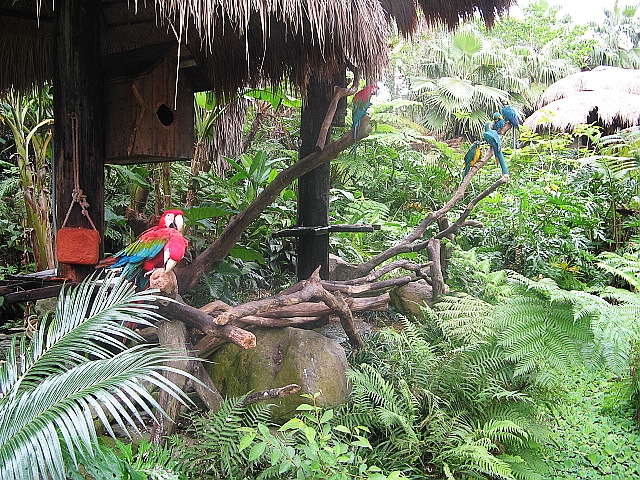 2008_travel3_T04.jpg