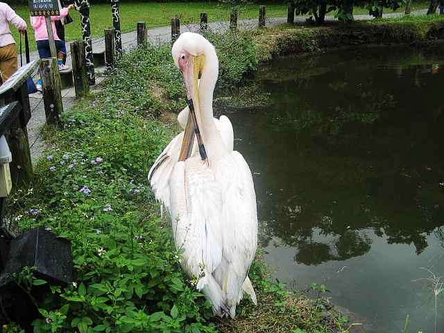 2008_travel3_T39.jpg
