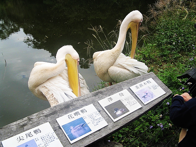 2008_travel3_T40.jpg