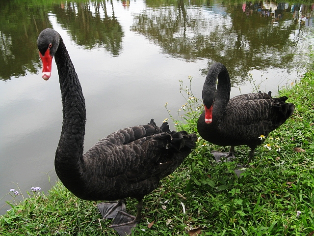 2008_travel3_T41.jpg