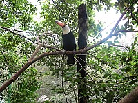 2008_travel3_T18.jpg