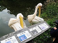 2008_travel3_T40.jpg
