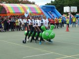 20181014-54.jpg